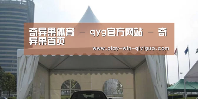 案例标题八